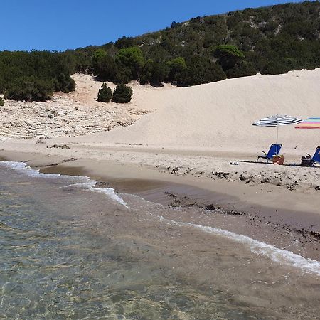 Villa Dunes 350 mt from sea Kalogria  Extérieur photo