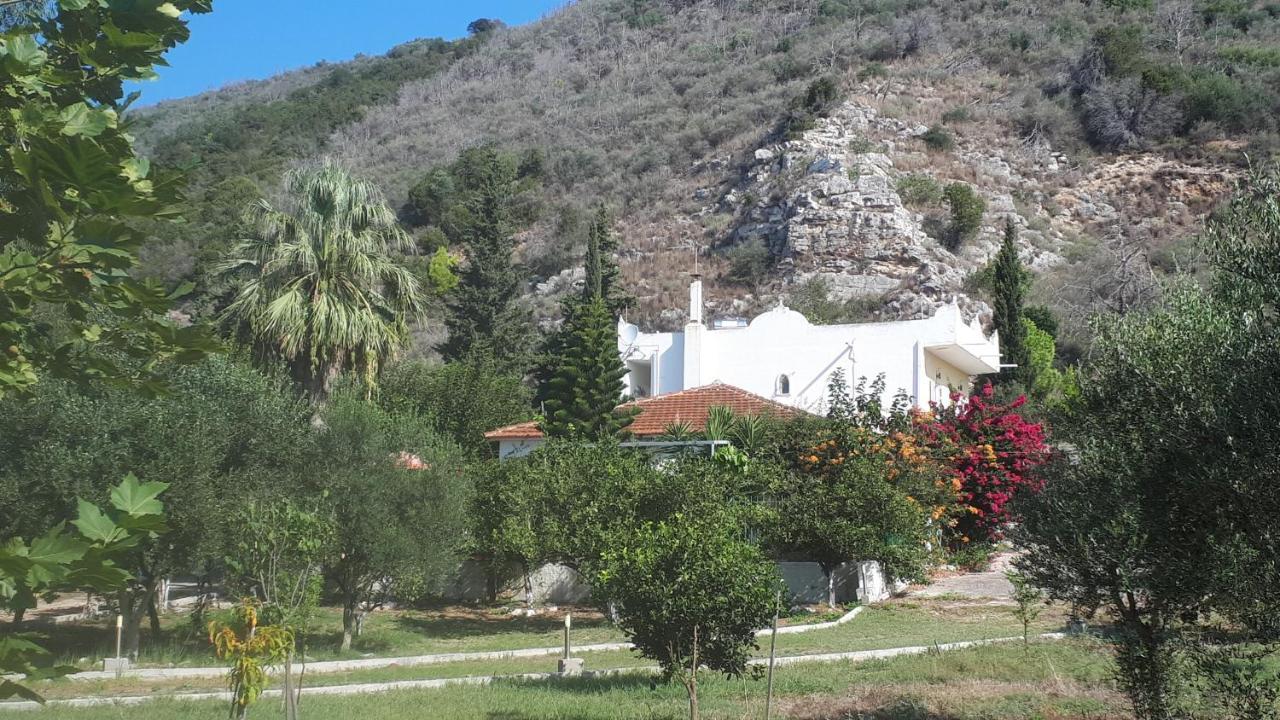 Villa Dunes 350 mt from sea Kalogria  Extérieur photo