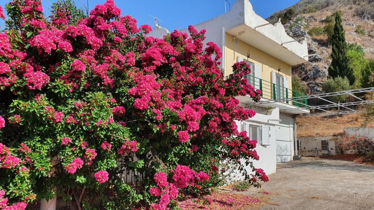 Villa Dunes 350 mt from sea Kalogria  Extérieur photo