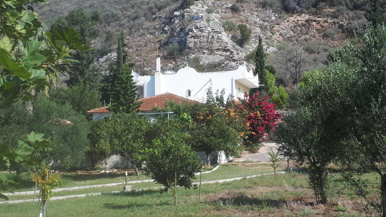 Villa Dunes 350 mt from sea Kalogria  Extérieur photo