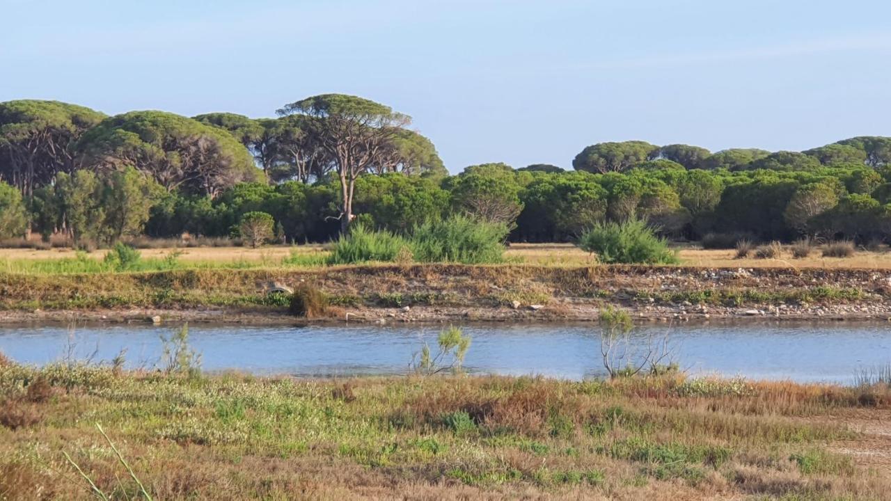 Villa Dunes 350 mt from sea Kalogria  Extérieur photo