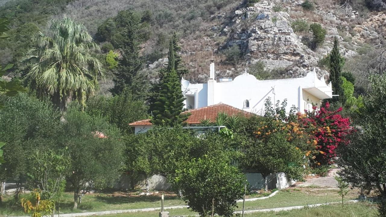 Villa Dunes 350 mt from sea Kalogria  Extérieur photo