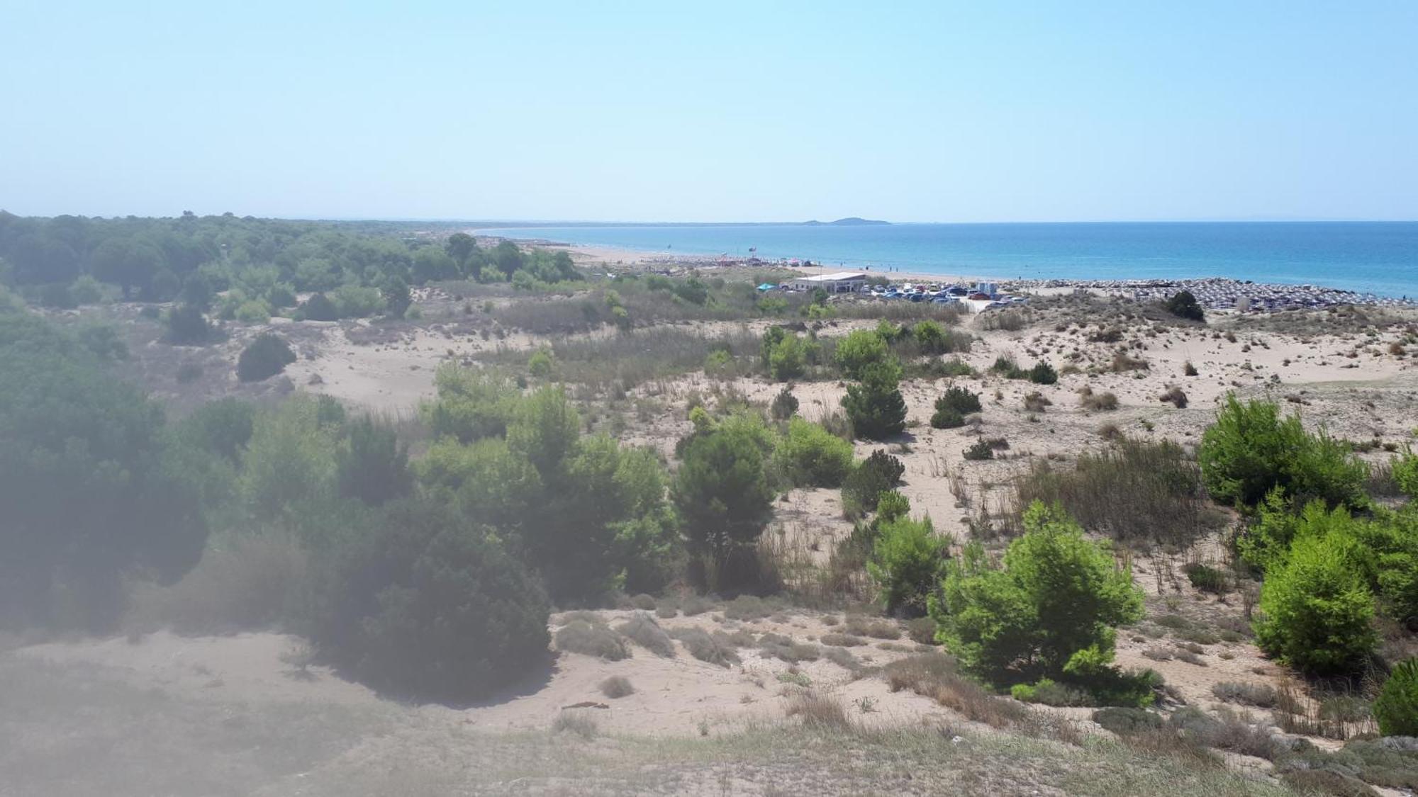 Villa Dunes 350 mt from sea Kalogria  Extérieur photo